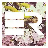 Picture for song 'Been About It By Ben Rushan (OHM Music)' by artist 'OHM Music'