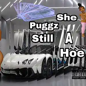 Picture for song 'She Still A Hoe' by artist 'Puggz'