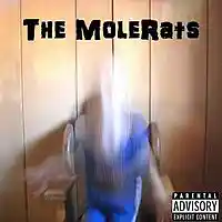 Picture for song 'Why Cannot I be Happy' by artist 'The MoleRats'