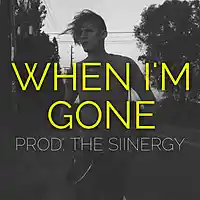 Picture for song 'When Im Gone * Emotional * FREE DL' by artist 'The Siinergy'