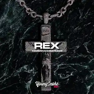 Picture for song '"REX" - Big 30 x Big Scarr Type Beat' by artist 'Young Snake Beats'