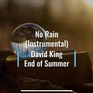 Picture for song 'No Rain' by artist 'Beats By King'