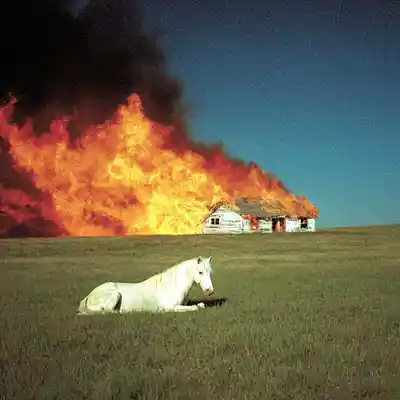 Picture for song 'dark hard beat 2026' by artist 'Blond'