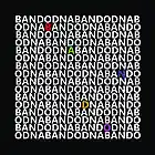 Picture for song 'Bando' by artist 'Chancius'