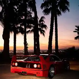 Picture for song 'Curren$y type beat - Paradise' by artist 'Havio'