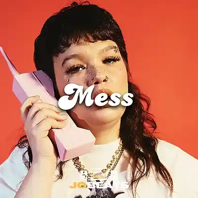 Picture for song 'Mess' by artist 'Joe Gautrey'