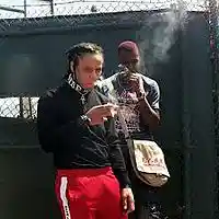 Picture for song '*NEW TRIPPIE REDD NO LIES TYPE BEAT FREE DL' by artist 'OffcialProtegebeatz'