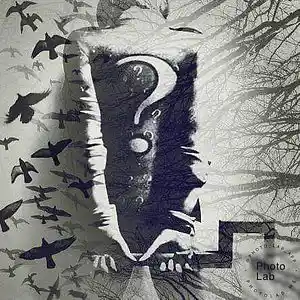 Picture for song 'shadow' by artist 'Oson'