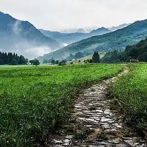 Picture for song 'Help Me Find My Way' by artist 'Roy Hannum'