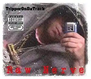 Picture for song 'Arab Money [Mixtape Takeover]' by artist 'Tripper On Da Track'