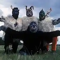 Picture for song 'I Am The Walrus ' by artist 'The Billy Shears Experience'