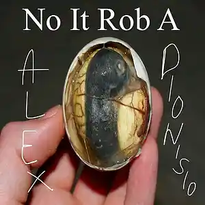 Picture for song 'No It Rob A' by artist 'Alex Dionisio'
