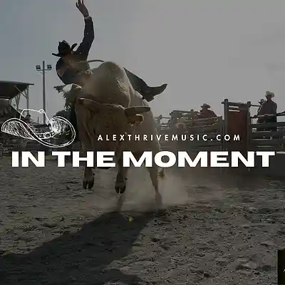 Picture for song 'In The Moment (Dierks Bentley Country Type Beat)' by artist 'Alex Thrive Music'