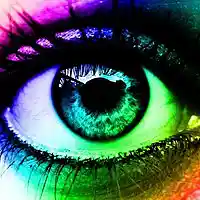 Picture for song 'Curious Eye' by artist 'XL73'