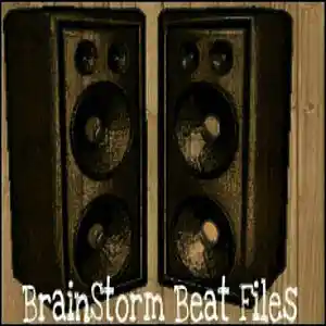 Picture for song 'Never Too Late' by artist 'BrainStorm Beat Files'