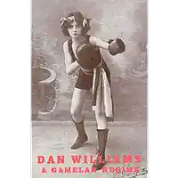 Picture for song 'Playing the Music ' by artist 'Dan Williams and Gamelan Regime'