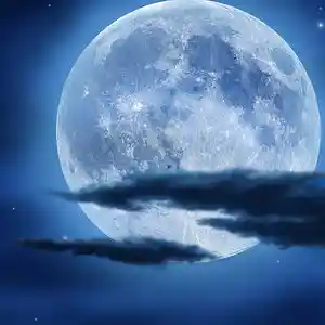 Picture for song 'moon-light-1495641' by artist 'Digital Force'