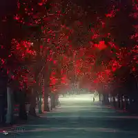 Picture for song 'Dejame' by artist 'James Dunnet'