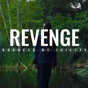 Picture for song 'Revenge' by artist 'JuiczXxx'