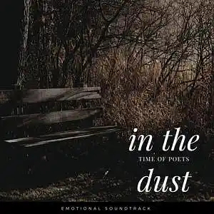 Picture for song 'IN THE DUST' by artist 'Peligot'