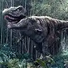 Picture for song '(new sample)-carnivorous' by artist 'RioBproduction'