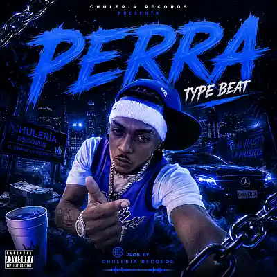 Picture for song 'PERRA' by artist 'tygerBeats'