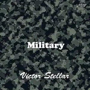Picture for song 'I remember you II' by artist 'Victor Stellar'