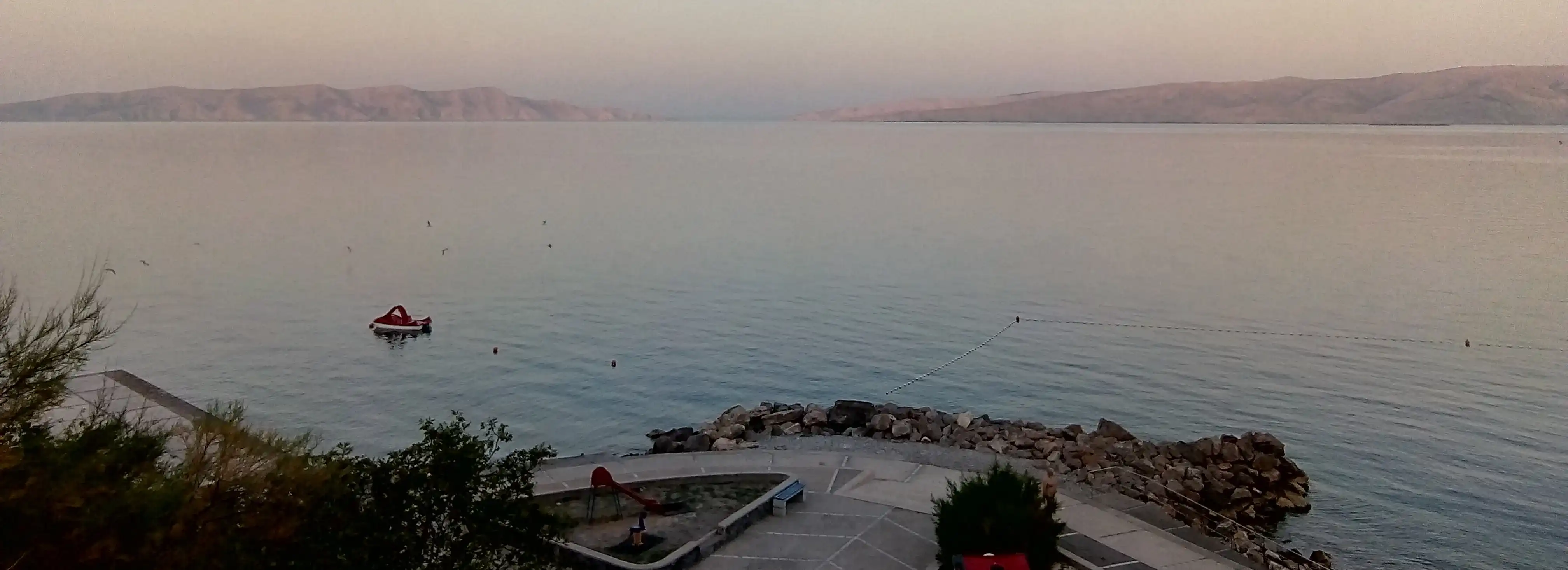 cover pic