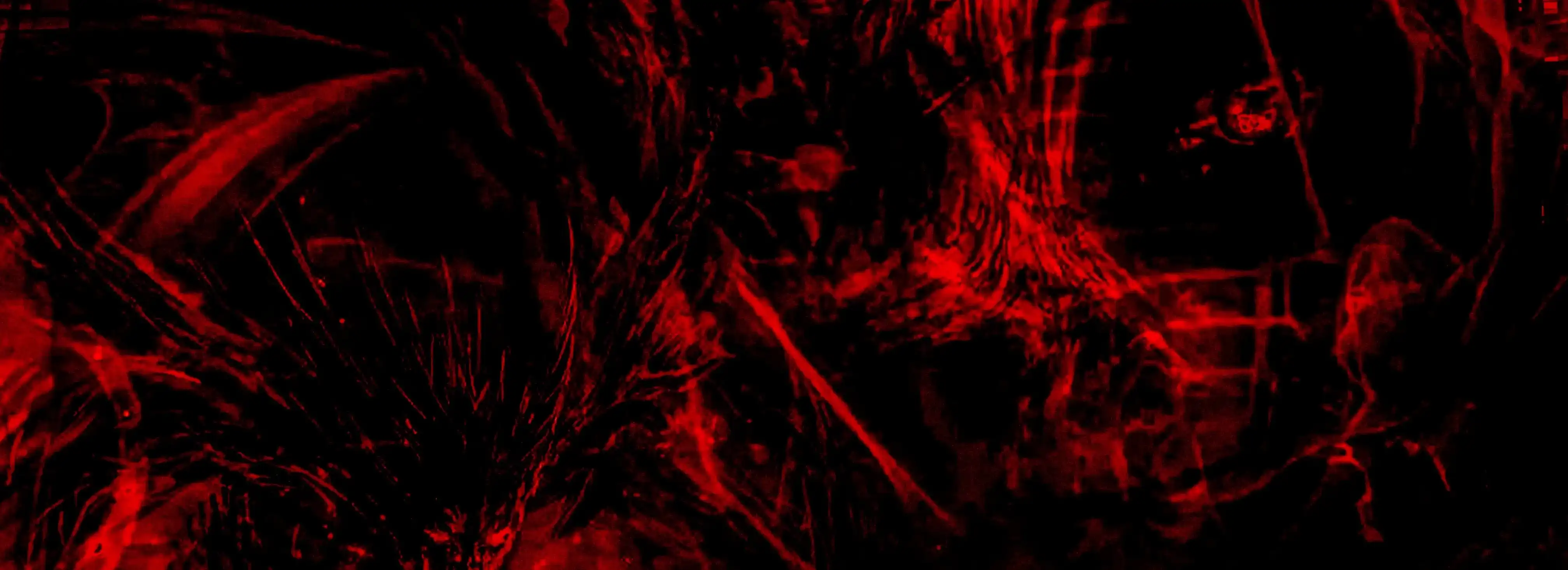 cover pic