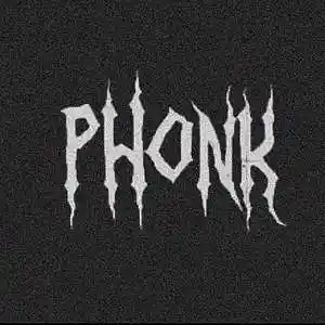 Picture for song 'phonk beat' by artist 'bleckvyl'
