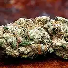 Picture for song '*NEW* SOUR D' by artist 'countmoneybeats'