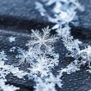 Picture for song 'Snowfall (Instrumental)' by artist 'Denzlo'