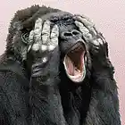 Picture for song 'Life is a Jungle "Beyonce Type Beat"' by artist 'MostDope ENT'