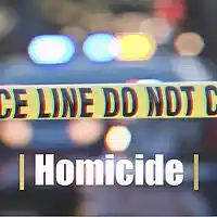Picture for song 'Homicide (prod. by Nostalgia Supreme)' by artist 'Nostalgia Supreme'