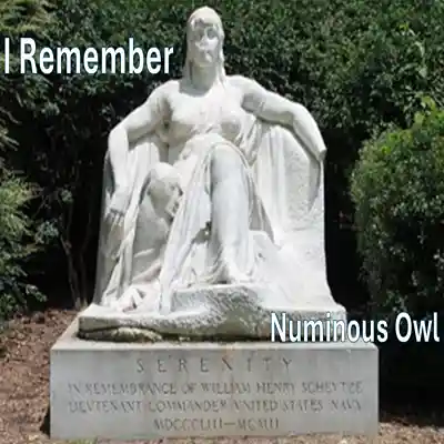 Picture for song 'I Remember' by artist 'Numinous Owl'