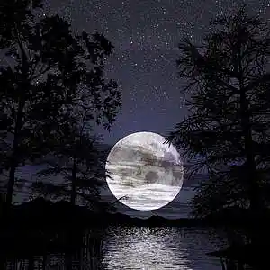 Picture for song 'Moonbeam' by artist 'morphs'