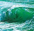 Picture for song 'Rip Tide' by artist 'Peculating Shepards'