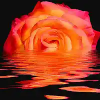 Picture for song 'We Gon Be Alright (Co Prod by Higher Heights)' by artist 'S.O. Terik'