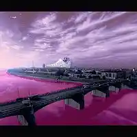Picture for song 'MDMA CITY (FREE DL) (low-price beat)' by artist 'Yung Pixel'