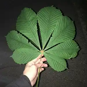 Picture for song 'deadny' by artist 'zhxkxff'