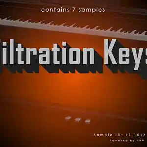 Picture for song 'Filtration Keys_Beat' by artist 'Bam Bam The Influence'