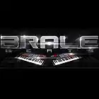 Picture for song 'Undefeated' by artist 'Brale Beats'