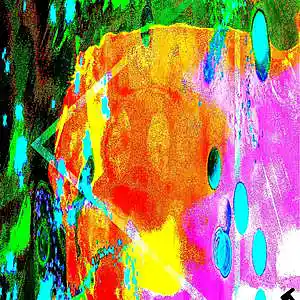 Picture for song 'Maladaptive Cacophony' by artist 'Decaying Orbit'