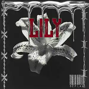 Picture for song 'Lily' by artist 'DeFlax'