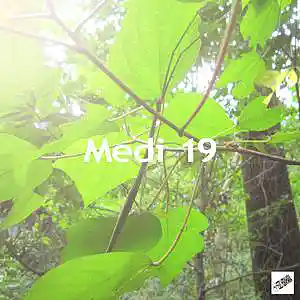 Picture for song 'Medi 19' by artist 'Eizi Hirahara'