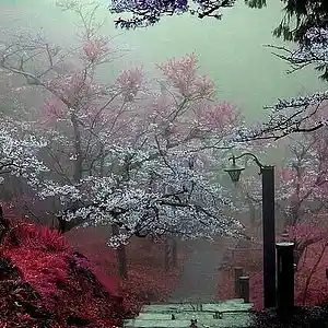 Picture for song 'Remember Me' by artist 'Griffin Of The Evloution'