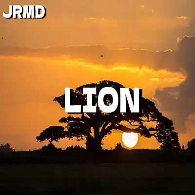 Picture for song 'Lion (Afropop x Afrobeat Instrumental)' by artist 'Jrmd'