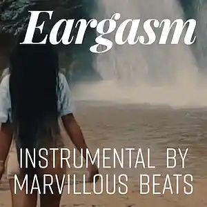 Picture for song 'Eargasm - Disclosure, Sam Sparro Type Beat' by artist 'Marvillous Beats'