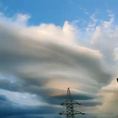 Picture for song 'Apple Juice (AcidJazz Version)' by artist 'Tallmute'