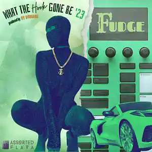 Picture for song 'What The Hook Gone Be '23 (3.5.23)' by artist 'AFMF Fudge'